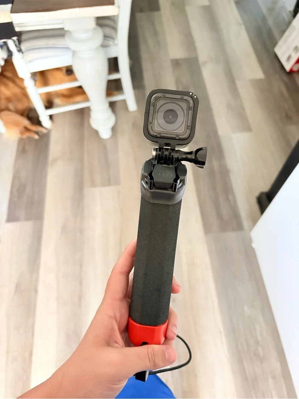 GoPro HERO Session Black with Red Floating Hand Grip